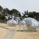 칸델라식당 이미지