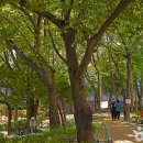 효성어린이공원(JC) 이미지