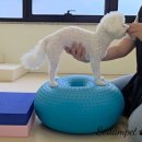 (주)소담소담