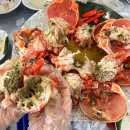 [강원도] 속초 홍게 살이 엄청난 맛집 승진호 홍게 무한리필 후기