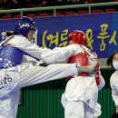 태극태권도체육관 연합뉴스