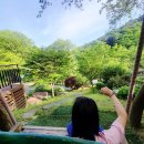 가평가족펜션 주변이 산으로 둘러싸인 포레하우스 내돈내산 리얼후기