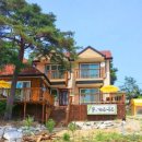 솔&계수나무팬션 이미지