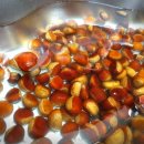 밤골가든 | 청주 아이와 알밤줍기체험장 이용후기 (구 밤골가든, 현 라온카페)