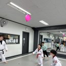 마루한튼튼2태권도장 이미지