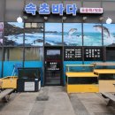 회포장바다횟집 | 속초 회포장 맛집 속초바다횟집 모듬회 솔직후기