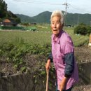 안정마을회관 이미지