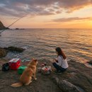 서해로 주변 | ⛺ 충남 태안 사창리 노지캠핑지 후기｜서해 일몰 맛집, 가성비 차박 캠핑 명소 추천!