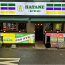 하타네 이미지