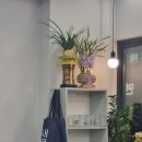 돼지고기도 코다리도 다 맛있는 황제코다리 삼겹살 신설동점 추천후기