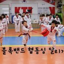 경희대솔밭태권도 이미지
