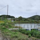 매송낚시터 이미지