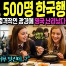 영국 왕실고 500명 한국행 이미지