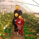 계백농장 이미지