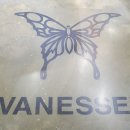 아이바네스안경 이미지