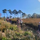 붕어섬 해피데이!! 이미지