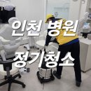 돌핀크린 이미지
