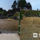 김정선생묘소일원 이미지