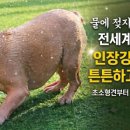 동국씨엠(주) - 2778 | 동국씨엠(주)