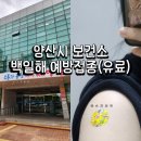 양산보건소 임산부가족 백일해 예방접종 유료로 맞고 왔어요