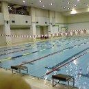 미진수영장 이미지