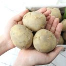 팔도농장 이미지