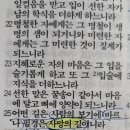 바르나현 이미지