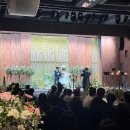 메종드소피아그레이스 | [W1-3] 서울 웨딩홀 암행 투어 후기 | aT 포레, 양재 엘타워, 메종드아나하