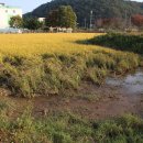 강구시장 이미지