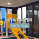 레드앤풀