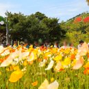 나비공원2(주차장) 네이버블로그