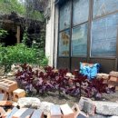 금마의원 이미지