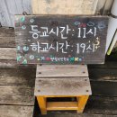 용고로 민박 | 여유 가득 마지막 제주살이 87~88일차