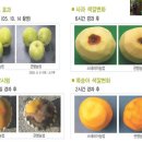 (주)장원식품 이미지