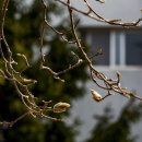 금호동 장미아파트 이미지