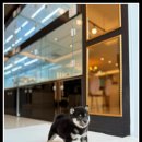 아이러브강아지 이미지