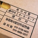 법인김천숲