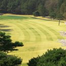 삼남개발(주) 기흥컨트리클럽 이미지