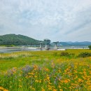 구미보명품화장실 이미지