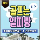 피랑 이미지