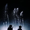 베스트샷 Daum카페