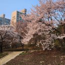 상현근린공원 이미지