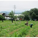 감물농장 이미지