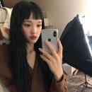 벨리티 이미지