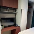 코티스 더 브릿지 이미지