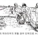 오리종합관리 이미지