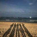 여행] 베트남 여행 4,5일차 - 더아남 요가, 비치클럽, 칼라스파 후기, 담시장, 올라카페, 남프엉, 안...
