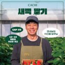 까치홀 이미지