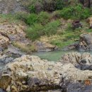 정수장추어탕 이미지