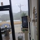 [평창 카페 연월일] 캔싱턴 근처 논밭뷰 감성카페, 아이랑 가기 좋았던 솔직후기 (내돈내산)